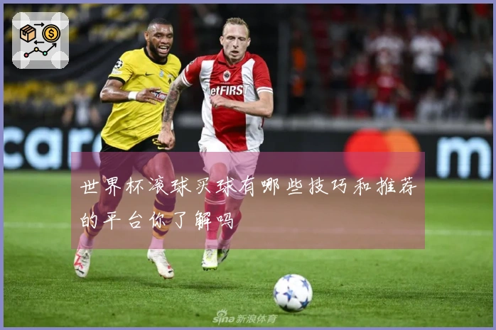 世界杯滚球买球有哪些技巧和推荐的平台你了解吗