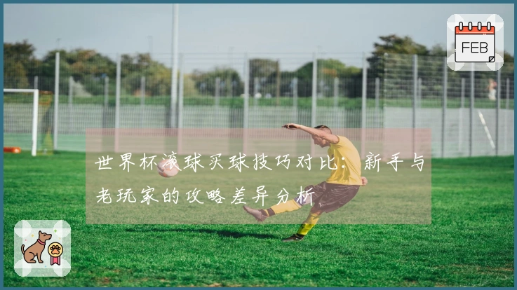 世界杯滚球买球技巧对比：新手与老玩家的攻略差异分析