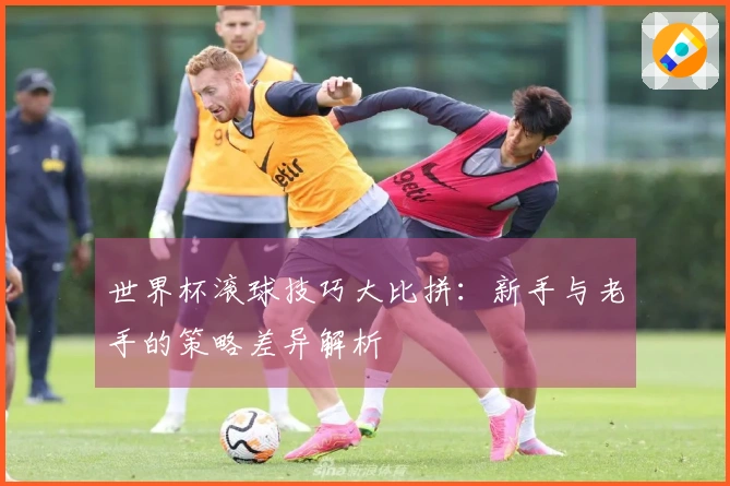 世界杯滚球技巧大比拼：新手与老手的策略差异解析