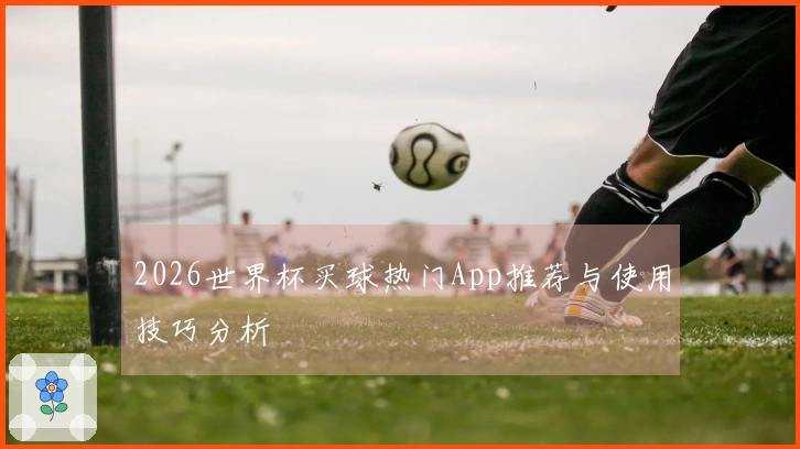 2026世界杯买球热门App推荐与使用技巧分析