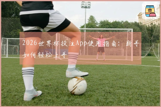 2026世界杯投注App使用指南：新手如何轻松上手