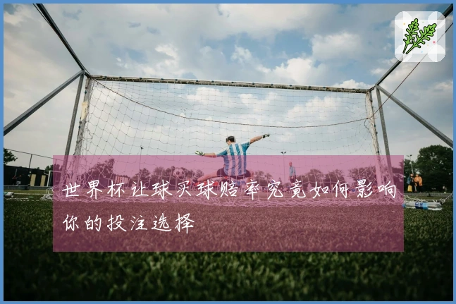 世界杯让球买球赔率究竟如何影响你的投注选择