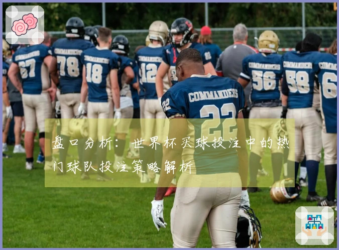盘口分析：世界杯买球投注中的热门球队投注策略解析