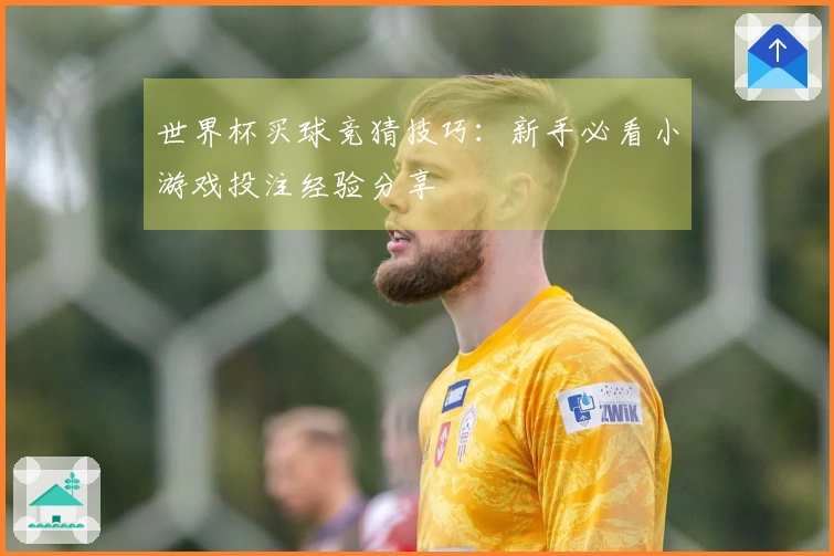 世界杯买球竞猜技巧：新手必看小游戏投注经验分享