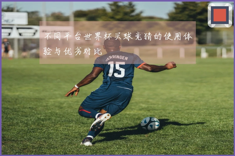 不同平台世界杯买球竞猜的使用体验与优劣对比