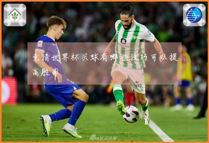 竞猜世界杯买球有哪些技巧可以提高胜率
