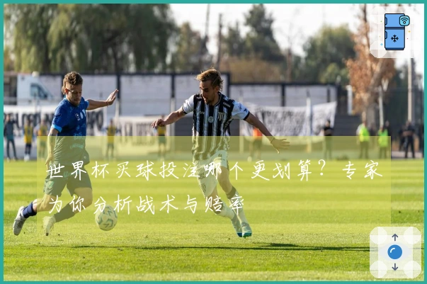 世界杯买球投注哪个更划算？专家为你分析战术与赔率