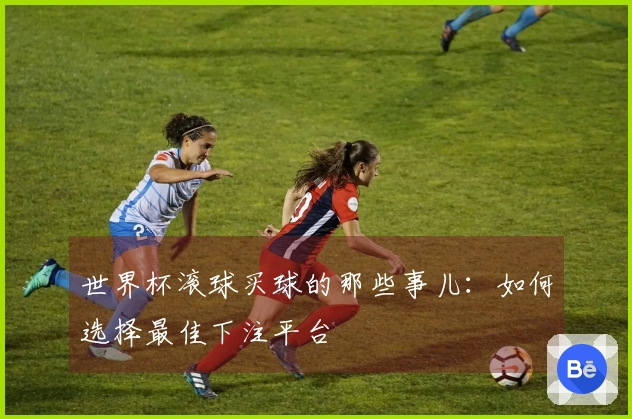 世界杯滚球买球的那些事儿：如何选择最佳下注平台