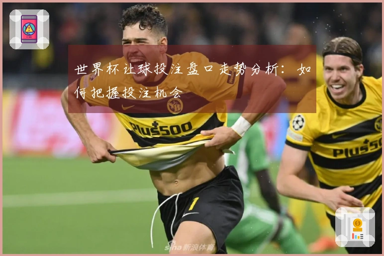 世界杯让球投注盘口走势分析：如何把握投注机会
