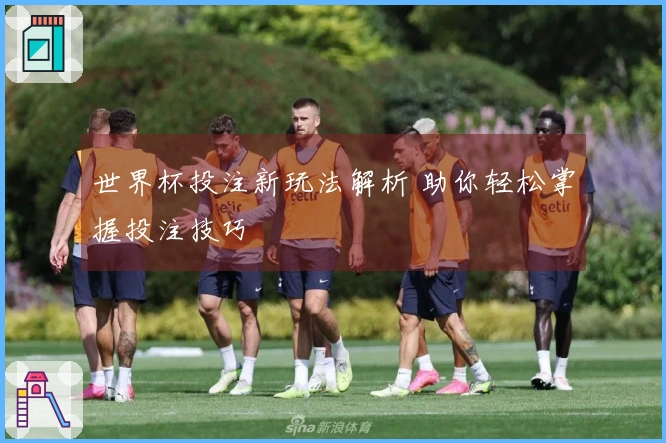 世界杯投注新玩法解析 助你轻松掌握投注技巧