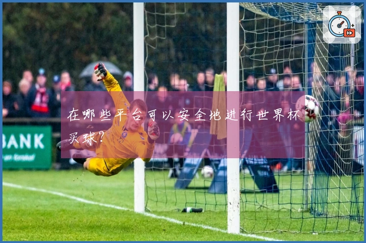 在哪些平台可以安全地进行世界杯买球？