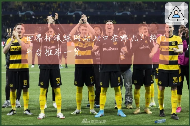 世界杯滚球网站入口在哪儿？热门平台推荐一览