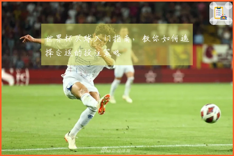 世界杯买球入门指南，教你如何选择合适的投注策略