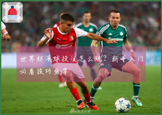 世界杯滚球投注怎么玩？新手入门必看技巧分享